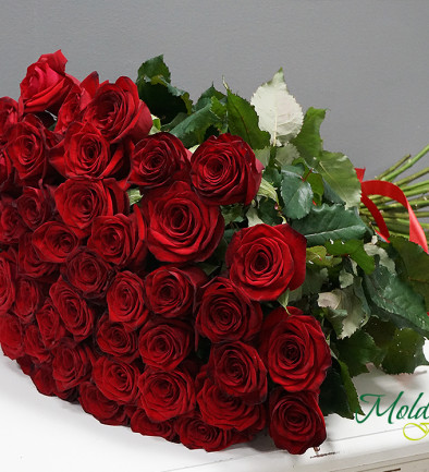 51 Trandafiri roșii olandezi 60-70 cm foto 394x433